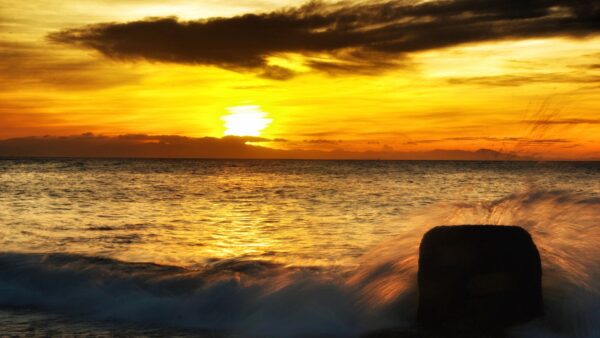 ホームページ開設のお知らせ